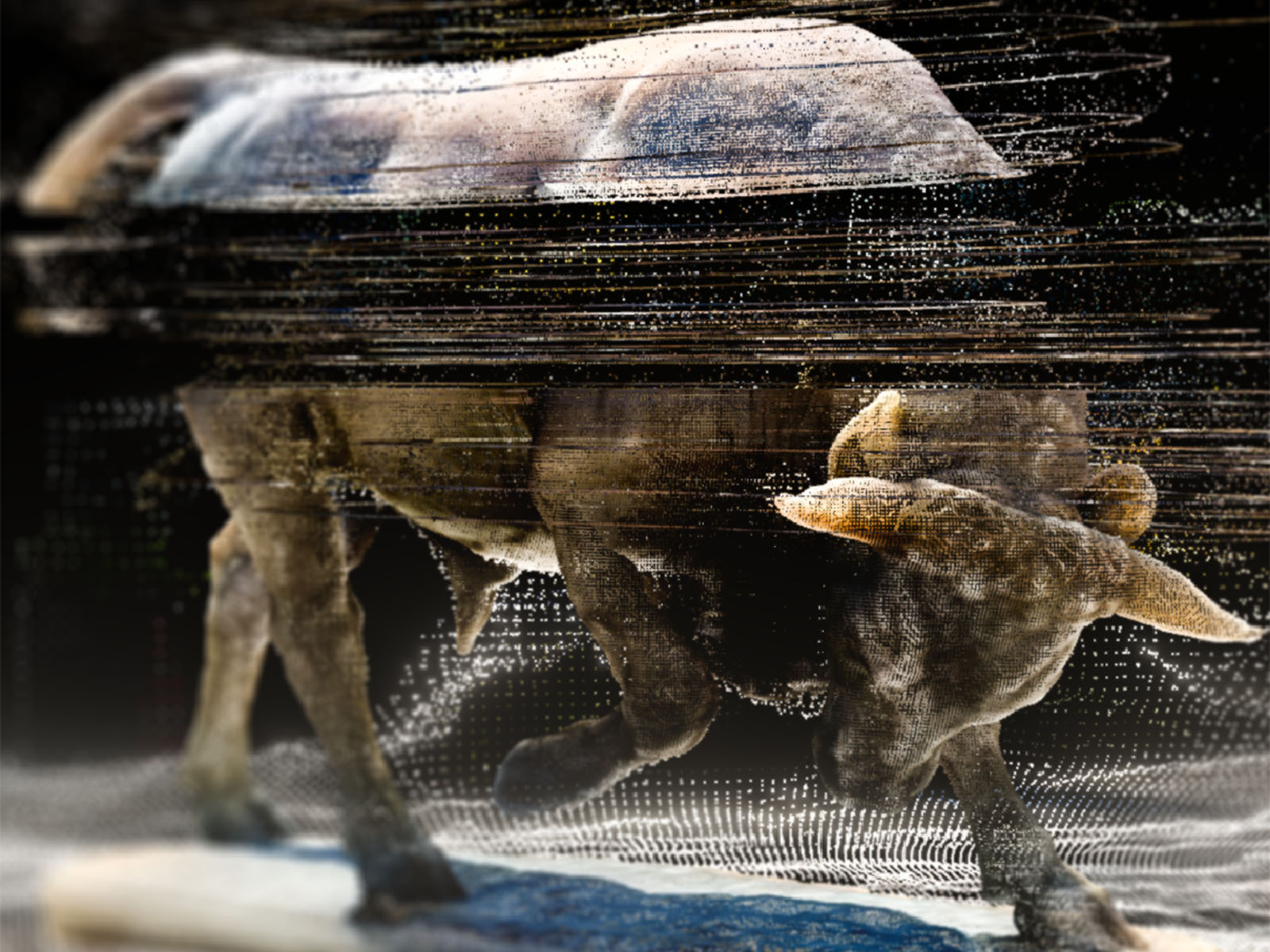 Medya Sanatı Festivali Ars Electronica Zorlu PSM’de